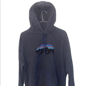 Patagonia Organic Cotton Hoodie